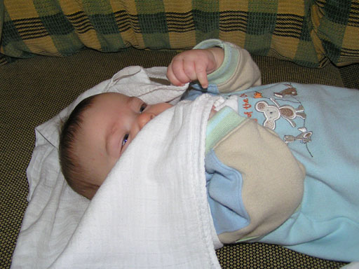 levi_mar2_2.jpg