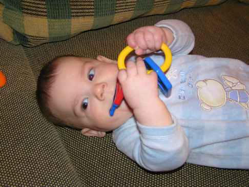 levi_mar21_1.jpg