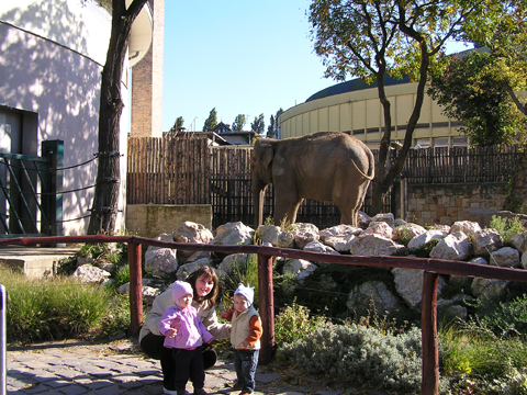 levi+livia+roza_2010_09_30.jpg